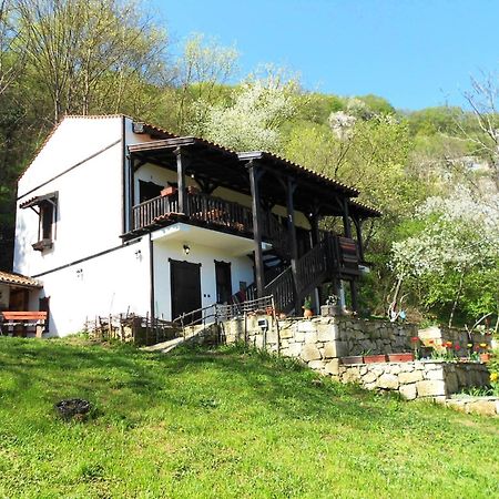 Milkovata Guest House Koshov Exteriör bild